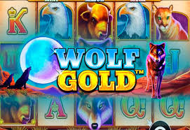 wolf gold game - 매력적인 슬롯 게임의 세계