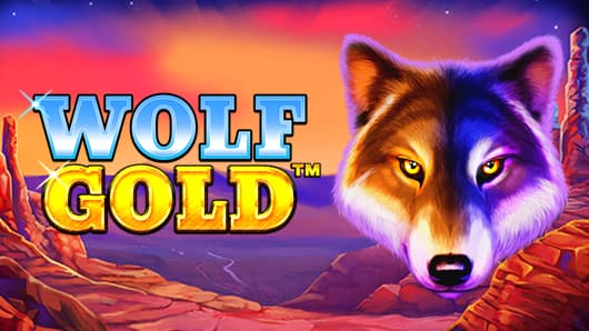 wolf gold game - 매력적인 슬롯 게임의 세계